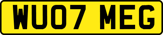 WU07MEG