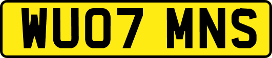 WU07MNS