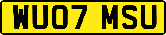 WU07MSU