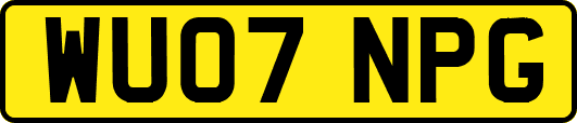 WU07NPG