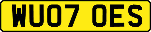 WU07OES