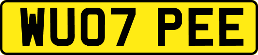WU07PEE