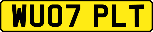 WU07PLT