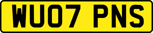 WU07PNS