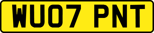 WU07PNT