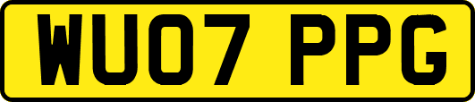 WU07PPG
