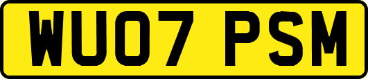 WU07PSM