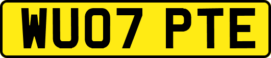 WU07PTE