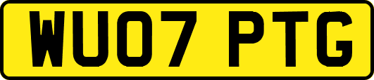 WU07PTG