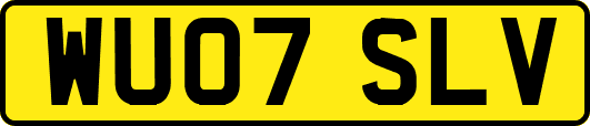 WU07SLV