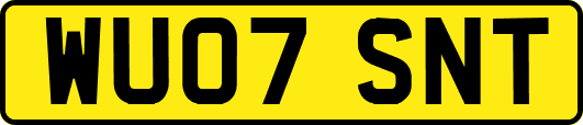 WU07SNT