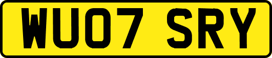 WU07SRY