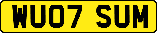 WU07SUM