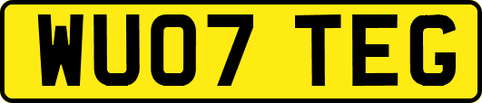 WU07TEG