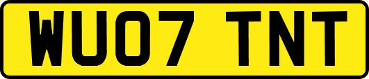 WU07TNT