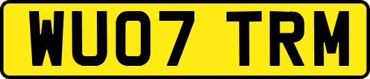 WU07TRM