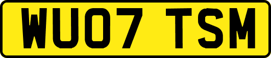 WU07TSM