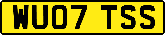 WU07TSS
