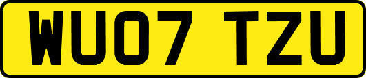 WU07TZU