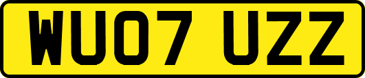 WU07UZZ