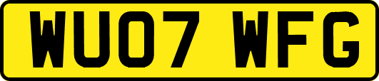 WU07WFG