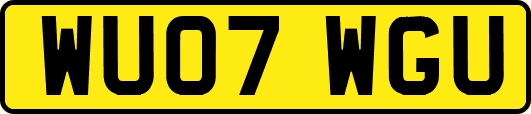 WU07WGU