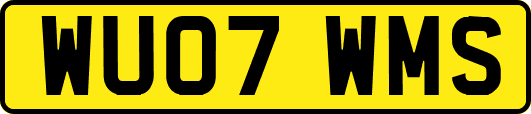 WU07WMS