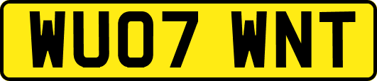 WU07WNT