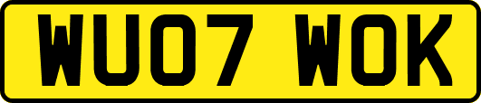 WU07WOK