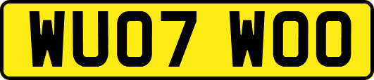 WU07WOO