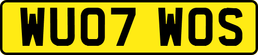 WU07WOS