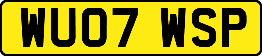 WU07WSP