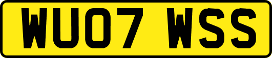 WU07WSS
