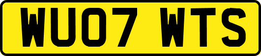 WU07WTS