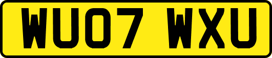 WU07WXU