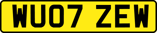WU07ZEW
