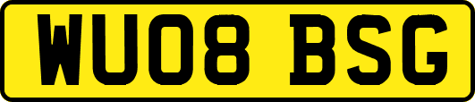 WU08BSG