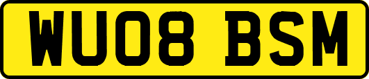 WU08BSM