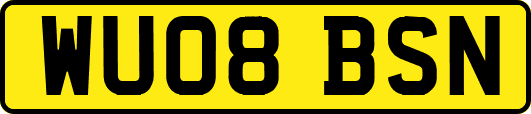 WU08BSN
