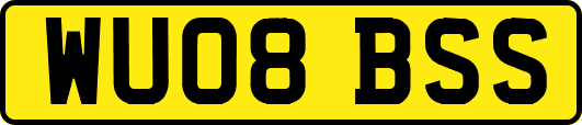 WU08BSS