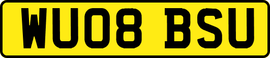 WU08BSU