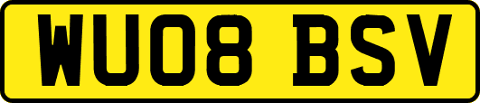 WU08BSV