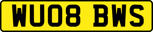 WU08BWS