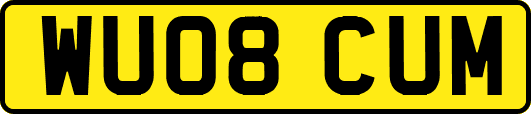 WU08CUM