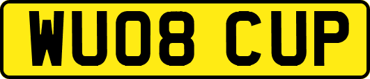 WU08CUP