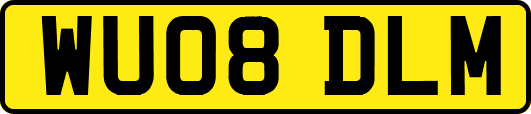 WU08DLM
