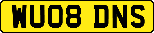 WU08DNS