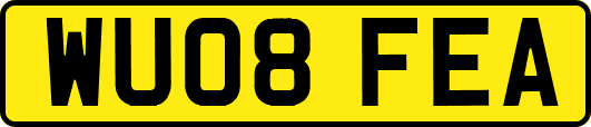 WU08FEA