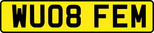 WU08FEM