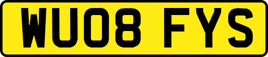 WU08FYS
